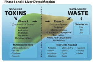 Fat-soluble-Toxins