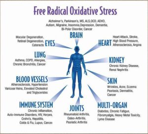 free_radical_oxidative_stress