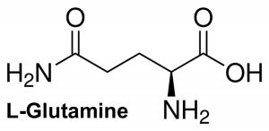 L-Glutamine