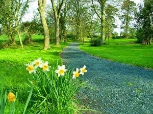 spring walk